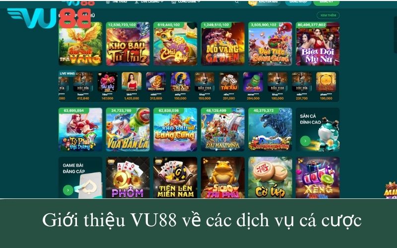 Giới thiệu VU88 về các dịch vụ cá cược