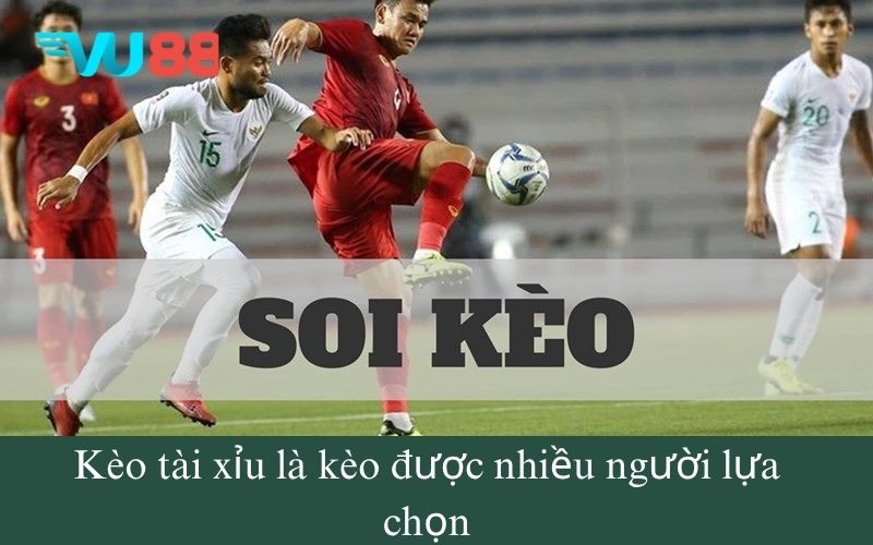 Kèo tài xỉu là kèo được nhiều người lựa chọn