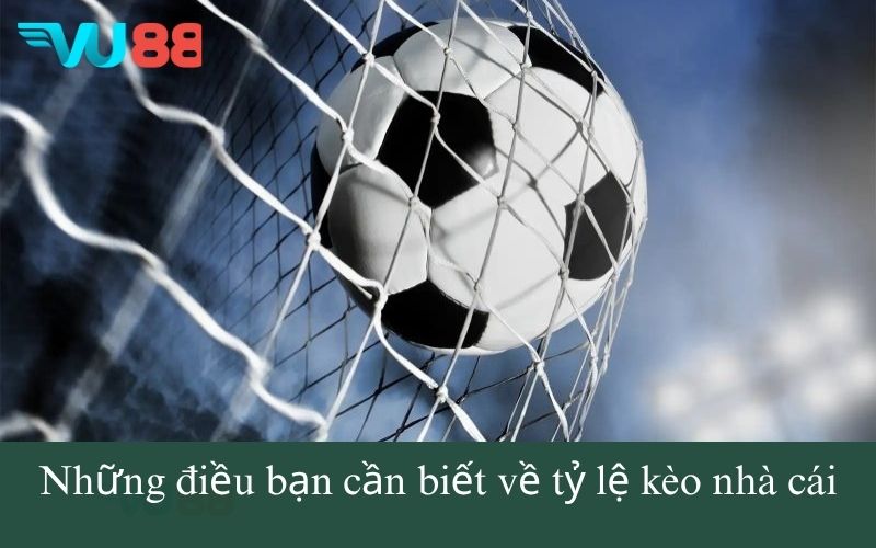 Những điều bạn cần biết về tỷ lệ kèo nhà cái
