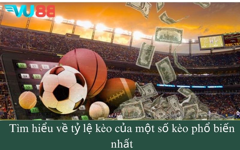 Tìm hiểu về tỷ lệ kèo của một số kèo phổ biến nhất