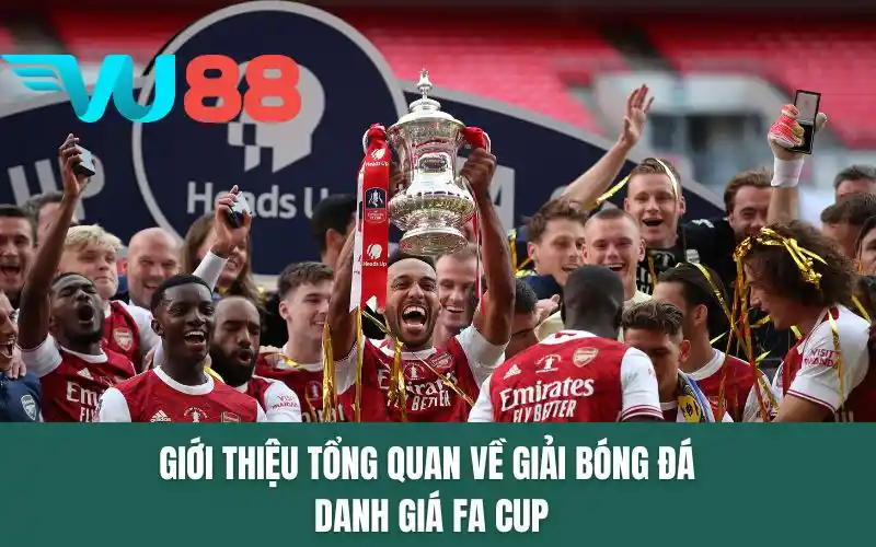 Giới thiệu tổng quan về giải bóng đá danh giá FA Cup