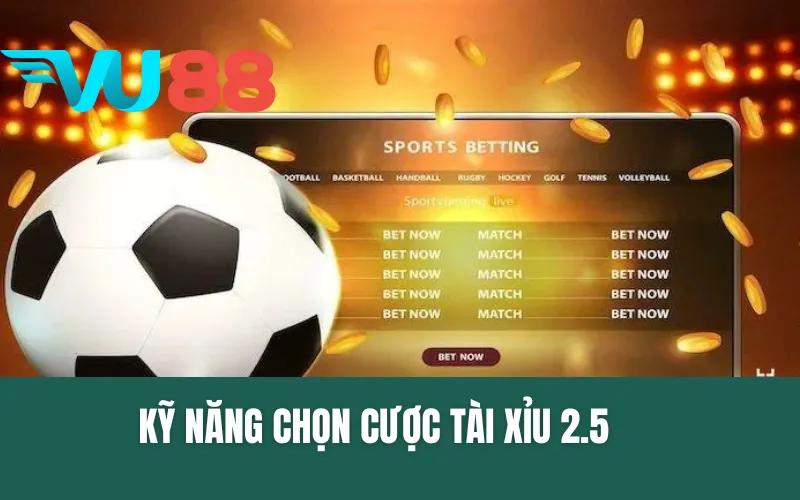 Kỹ Năng Chọn Cược Tài Xỉu 2.5 Trái An Toàn Và Hiệu Quả Nhất