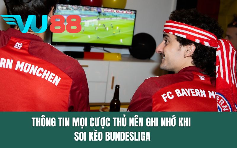 Thông tin mọi cược thủ nên ghi nhớ khi soi kèo Bundesliga