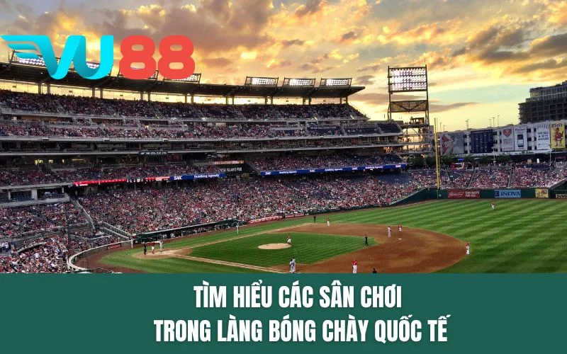 Tìm hiểu các sân chơi trong làng bóng chày quốc tế